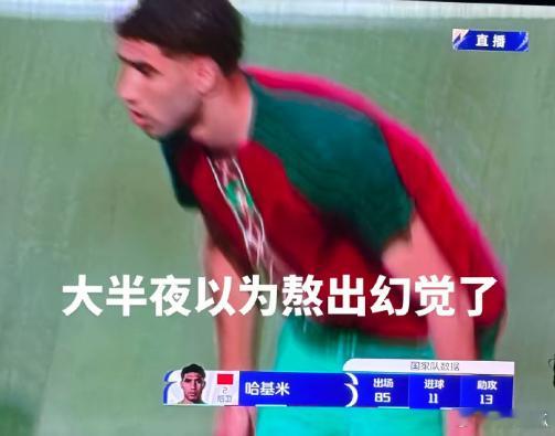 哈基米参加了世界杯 本来以为是世界杯上有猫咪出名了，没想到是真有个队员叫翻译是哈