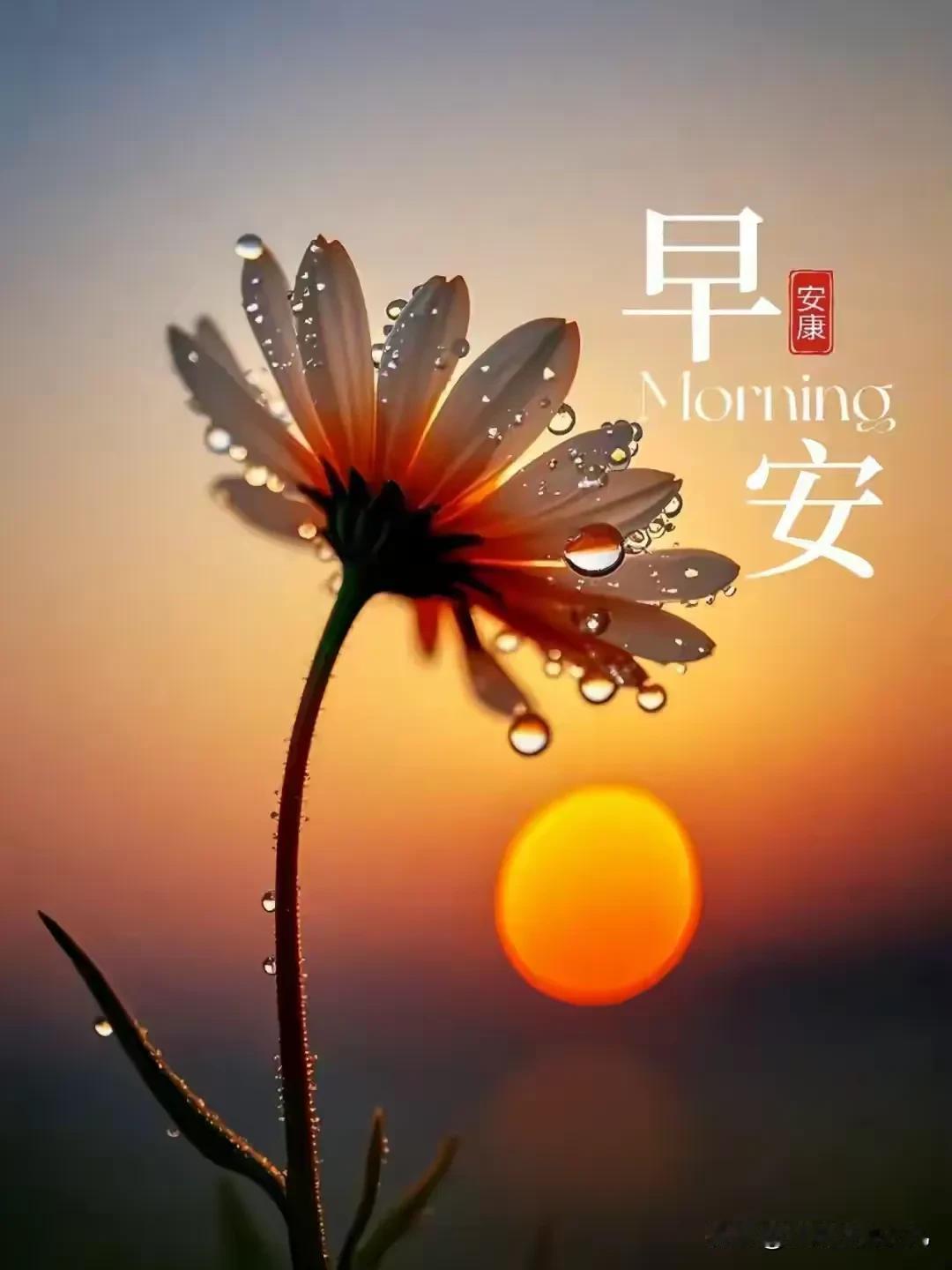 《冬夜家访》（摘自《倒淌河热恋》）

隆冬深夜，青海湖畔的暴风雪裹挟着狼嚎肆虐。