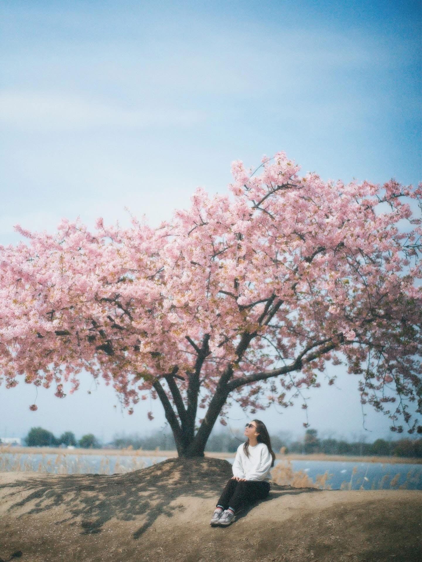 田馥甄生日宣布六专来了！！恭迎六宝，开始期待！田馥甄个人第6张专辑即将发行