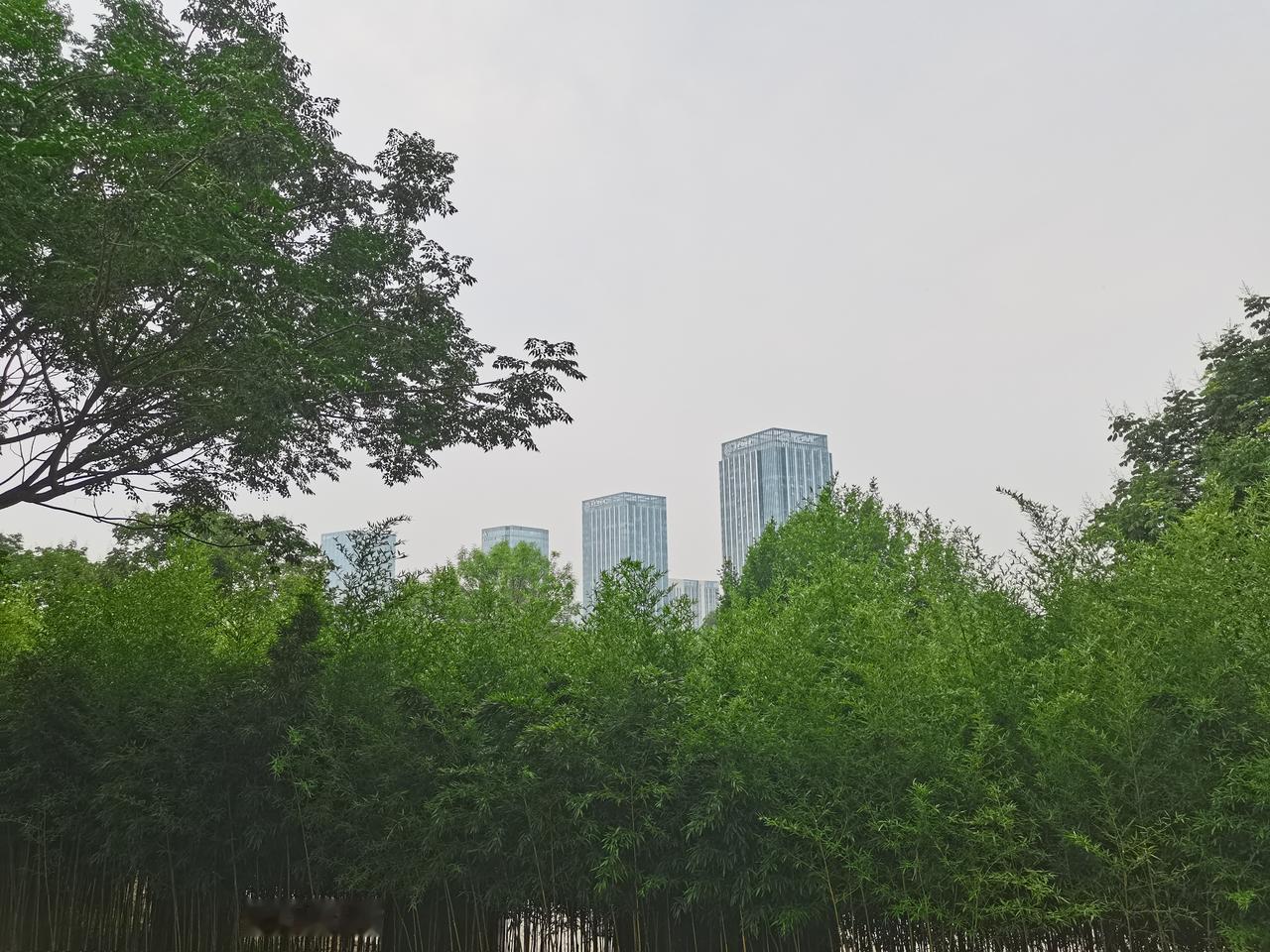 以前我觉得，新人来了得多帮衬，把自己踩过的坑、总结的经验都教给人家，这叫团队精神