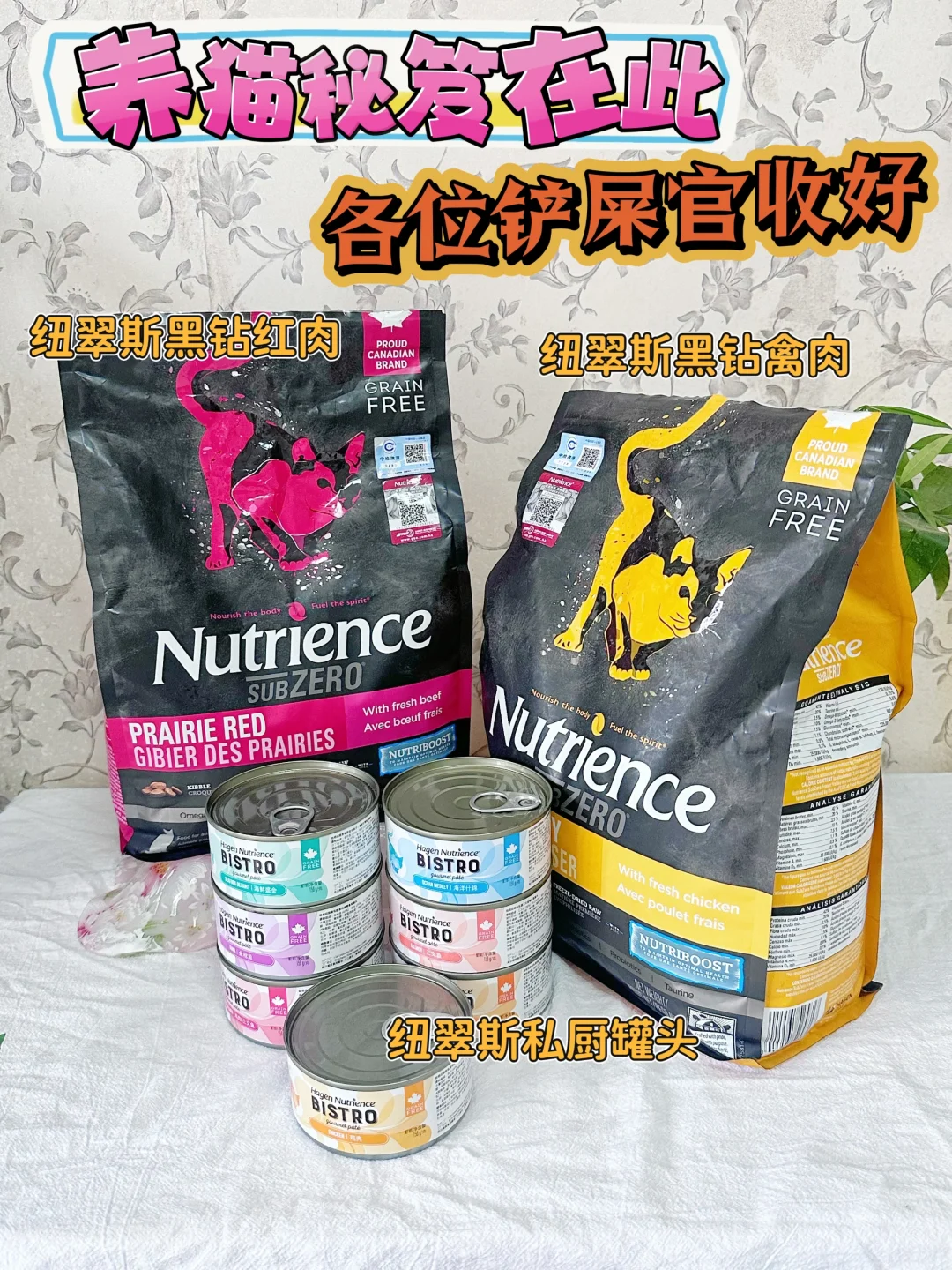 都不看好你，偏偏你最争气(纽翠斯全新测评)