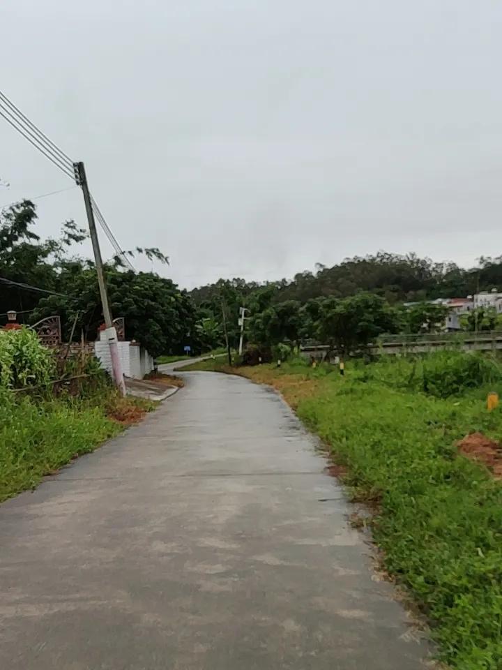 农村乡间小路随手一拍，那都是满满的宝藏。之前我去乡下亲戚家，沿着小路溜达，随手按