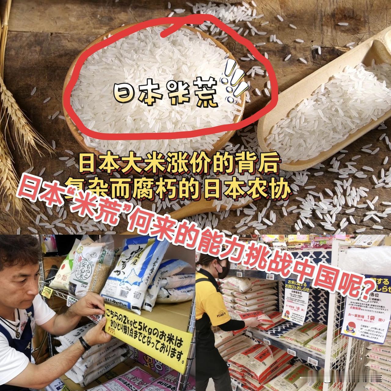 日本“米荒“!一个连大米都吃不上的日本，哪来的能力挑战中国呢？5 公斤大米 19