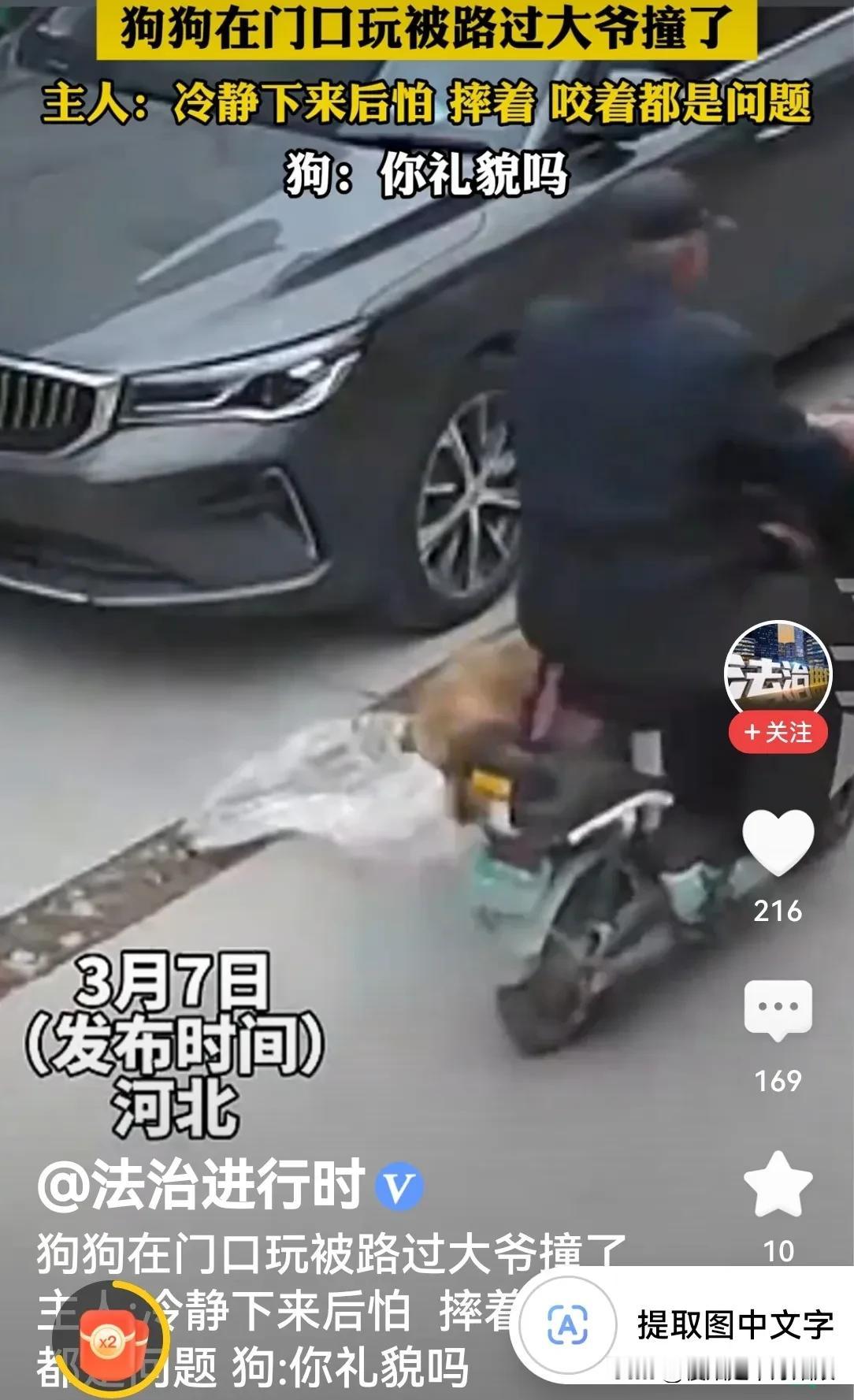 狗狗在门口玩被路过骑电动车的大爷直接撞上了，人家看都没看一眼，直接没事人一样扬长