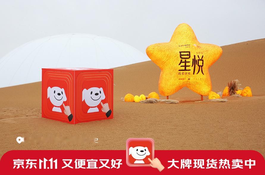 啊啊啊京东11.11你的惊喜还真是和开盲盒一样，每次打开都不一样。这次巨型京东A