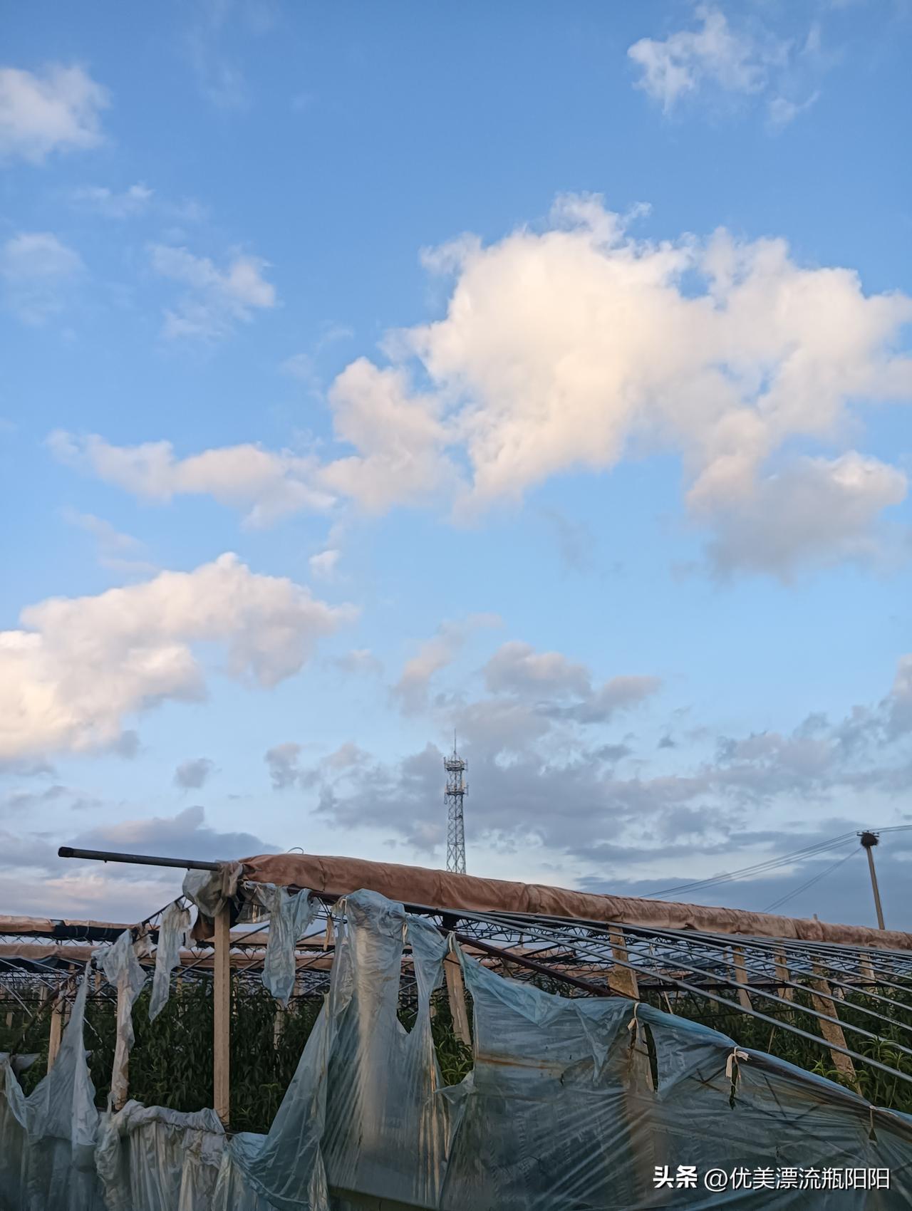 夏日生活打卡季今天早上云☁️太美了哈！大自然变幻莫测，令人心动！