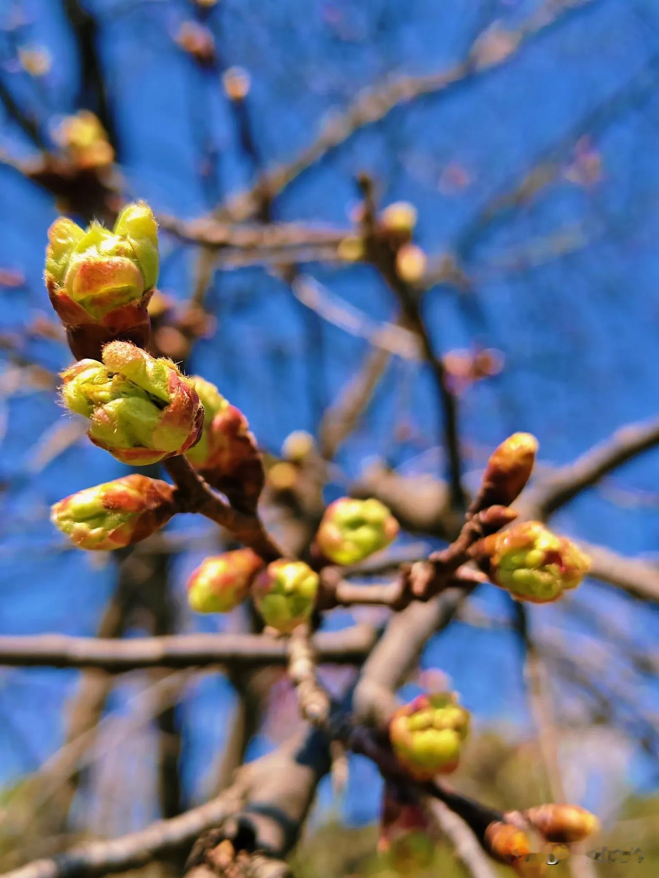 成功就是行动，劳则思，思则善心生；逸则淫，淫则忘善，忘善之恶心生。这个世界没有任