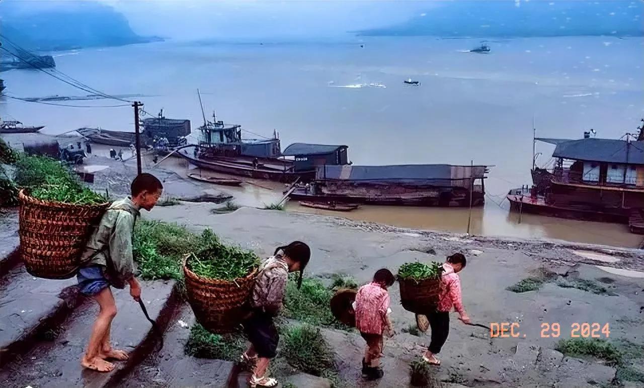 也不知道为什么，就是喜欢看这张照片。人与自然的完美结合，长江水养育勤劳善良的百姓
