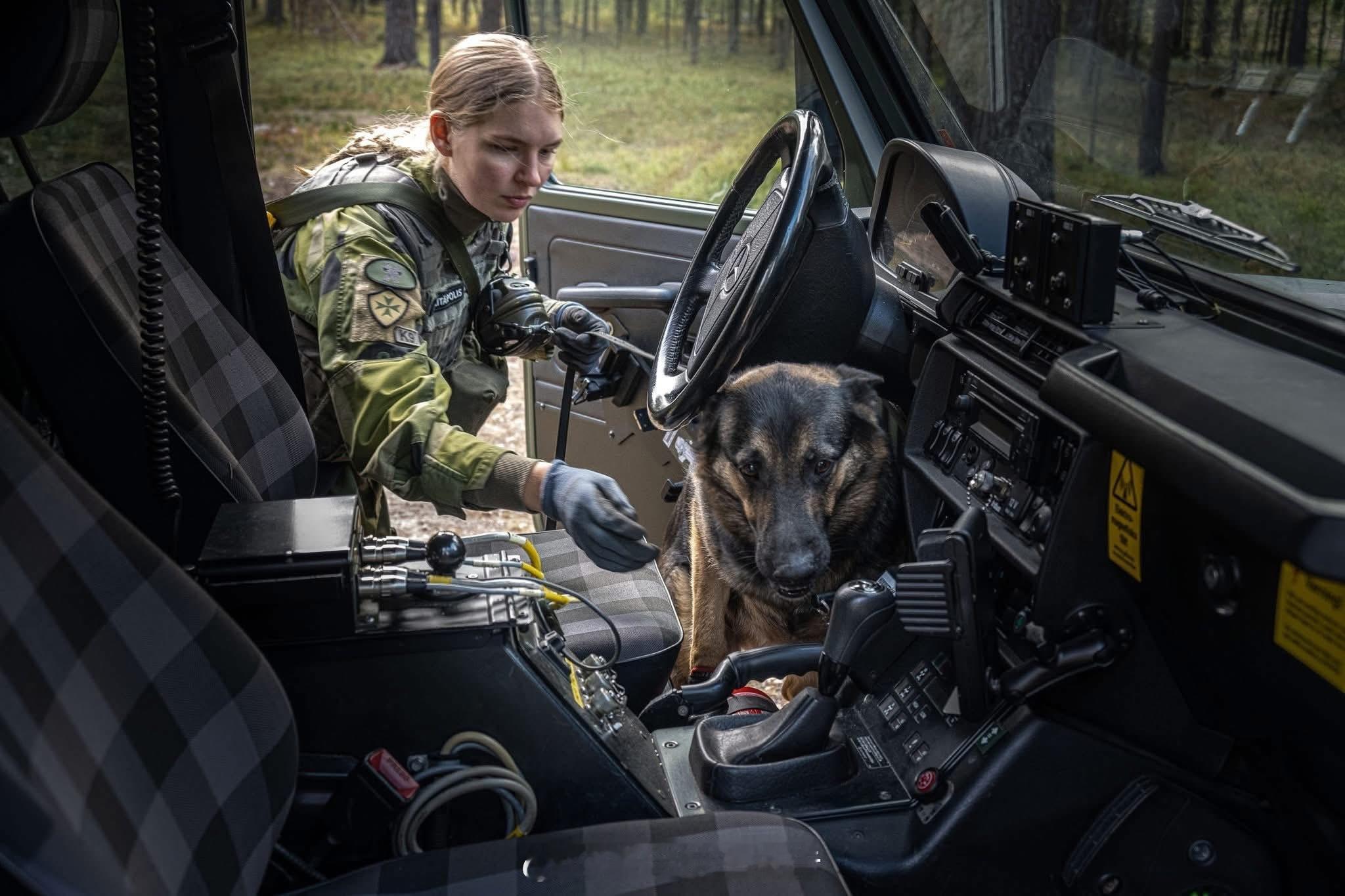 寰宇特车报告 初六 