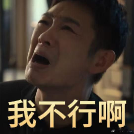 老舅评论区变身二月红求药现场 陆一波真的太会处事了！懂得借力抬高身边人，自带幽默