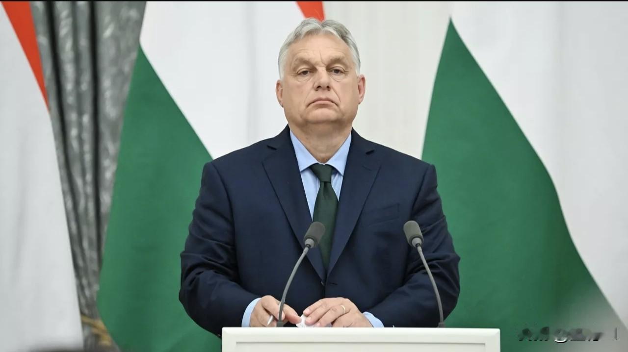 3月18日俄新社消息，匈牙利总理欧尔班公开表示，不相信乌克兰以管道损坏为由暂停“