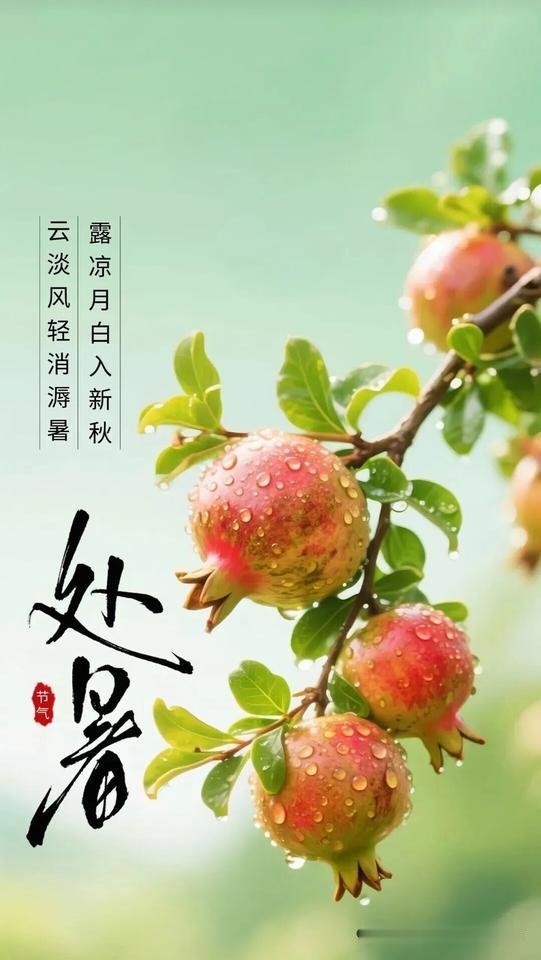 🌿🌷💐四季轮转到处暑，三伏即将要结束，从此不再高温度，人在此季会舒服，处暑