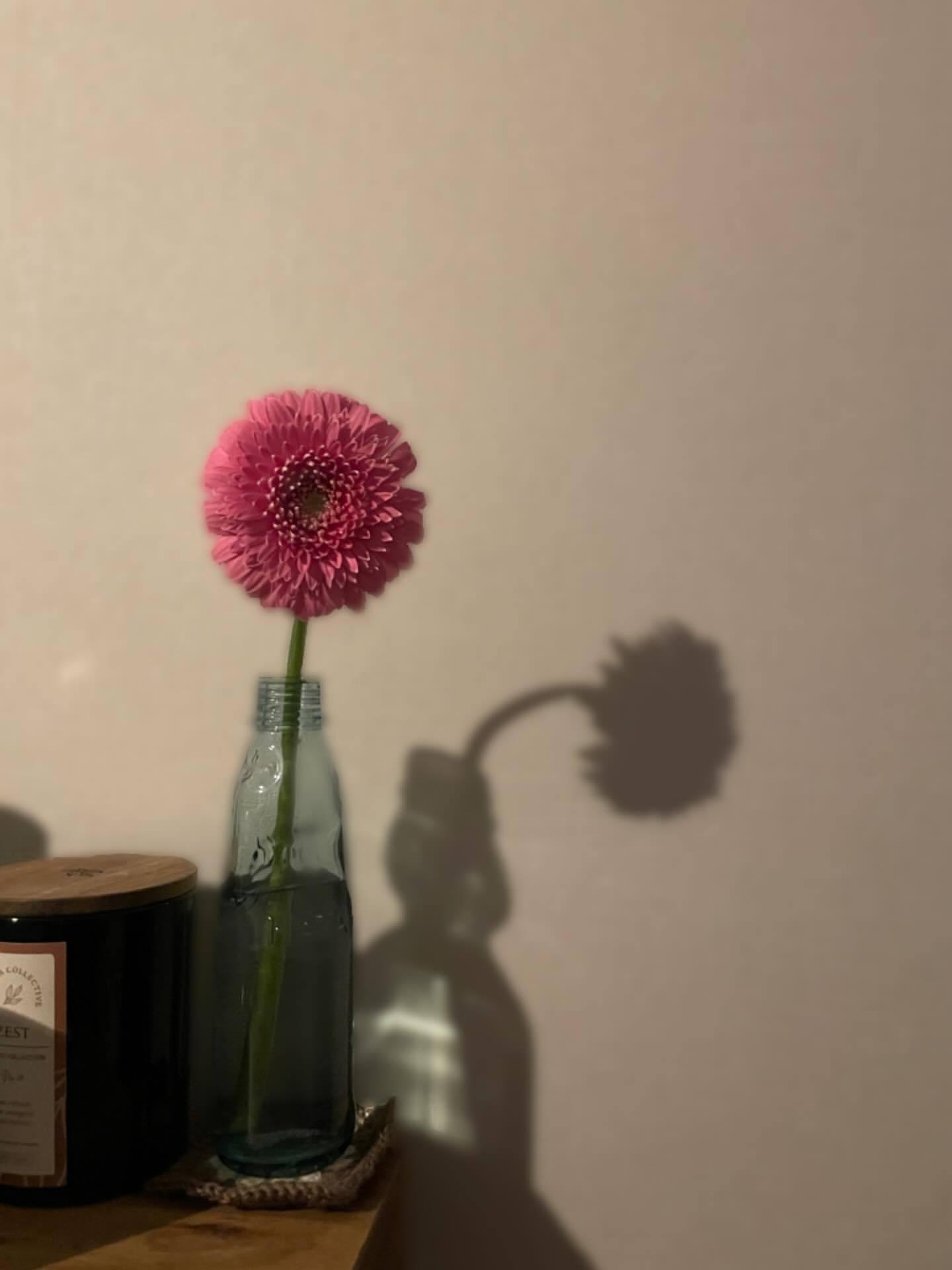 「何よりも思い出の詰まった　ラムネの瓶が私のいちばんのお気に入り」 