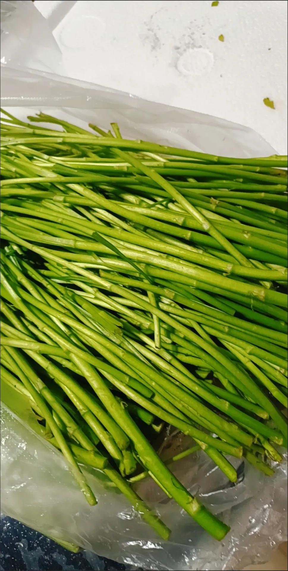 太好了，又能吃到家乡菜，据说这个菜没有几个省份有，小伙伴们，你们知道是什么吗？这