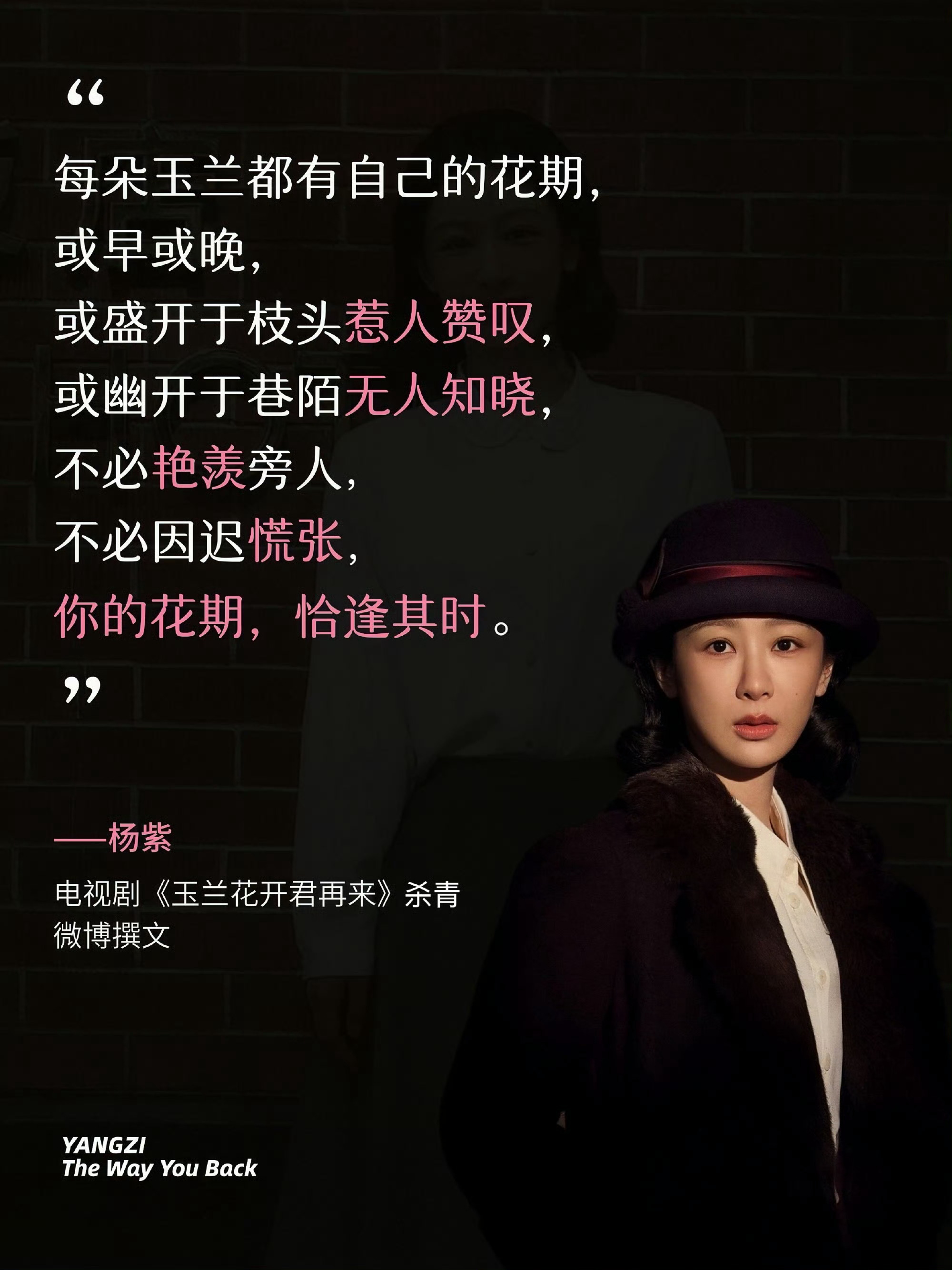 玉兰花开君再来 她从不因被曲解而改变初衷，不因冷落而怀疑信念，亦不因年迈而放慢脚
