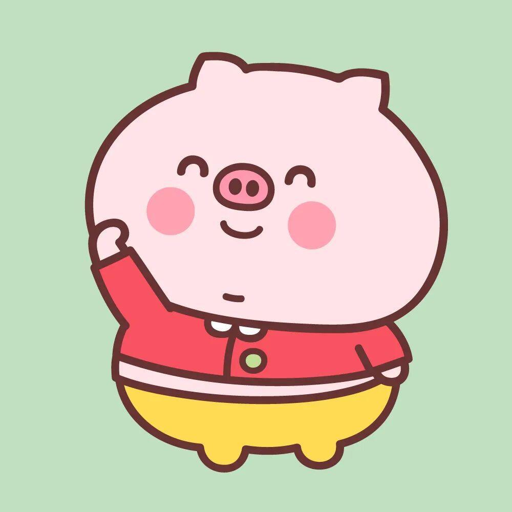 小猪豆包头像 