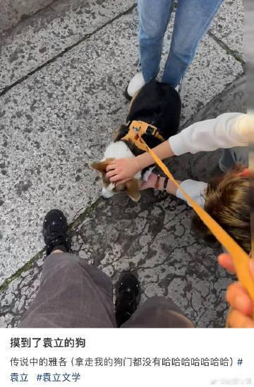 #摸到了袁立的狗# 网友摸到了袁立的狗，我也想摸[doge]#网友摸到了袁立的狗