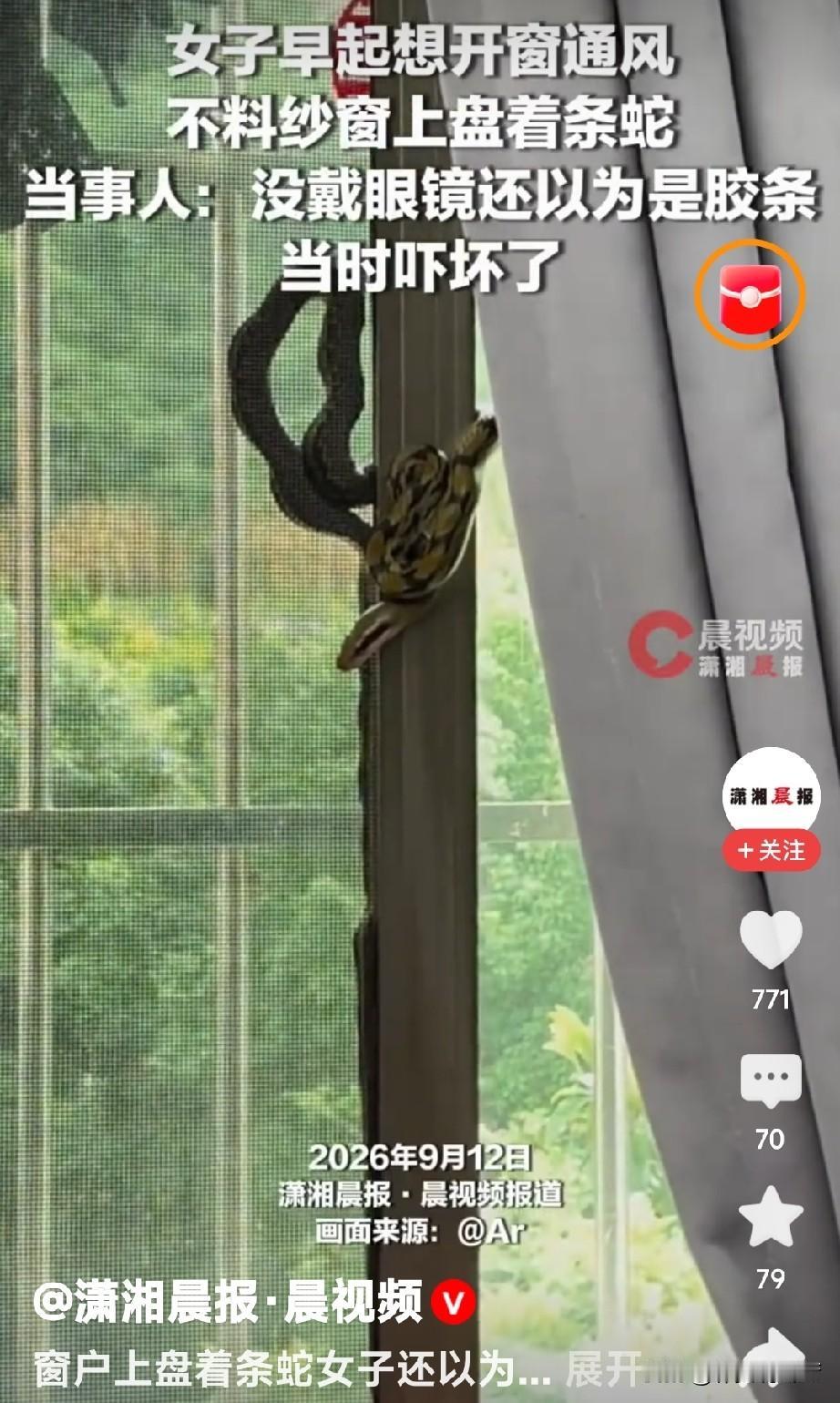 刷到那个女子开窗撞见纱窗盘着蛇的视频，我隔着屏幕都攥紧了手机。
换我当场就得僵在
