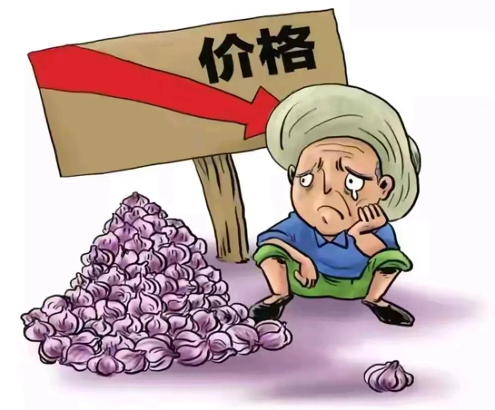 我们这现在正在收割水稻，今年水稻是个丰收年，但水稻价格却不尽如人意！邻居刚刚卖了