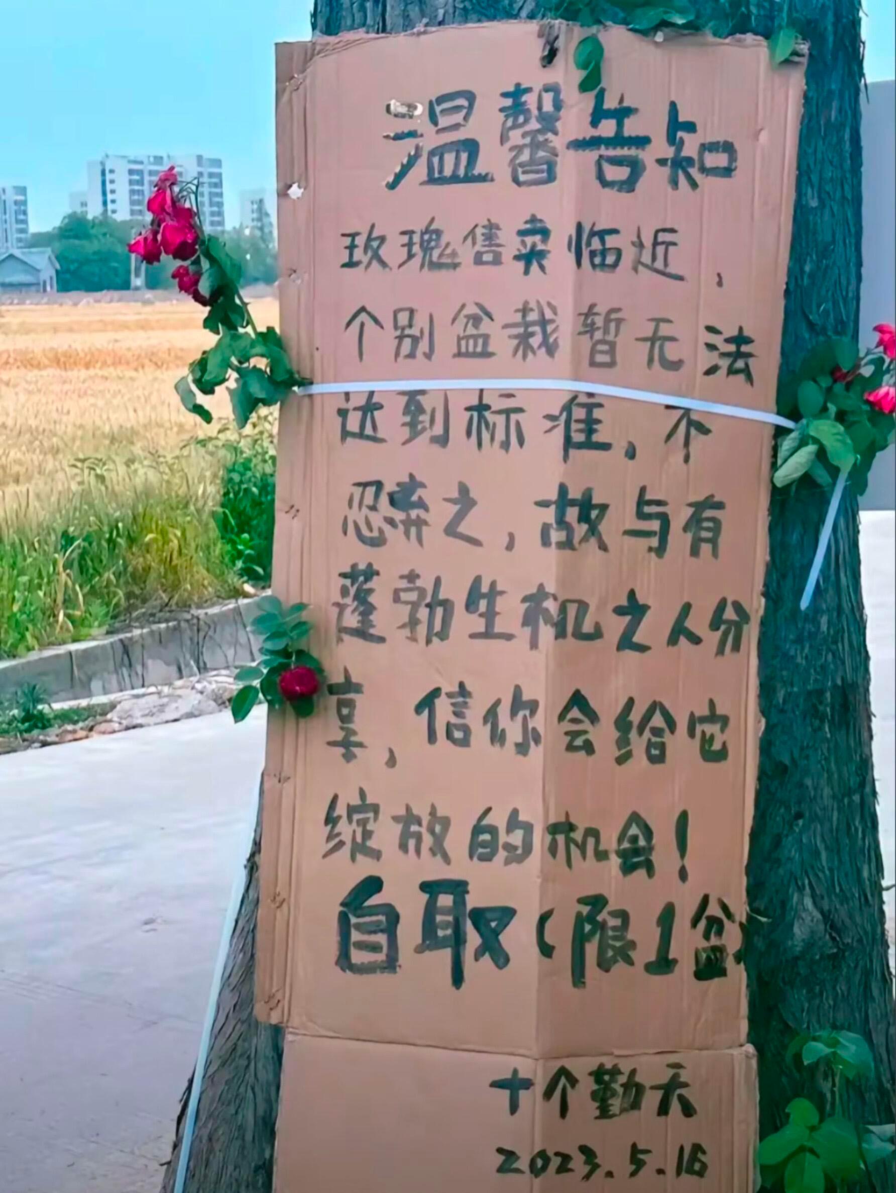 在十个勤天这一朵花都不会收到委屈十个勤天  |  种地吧 