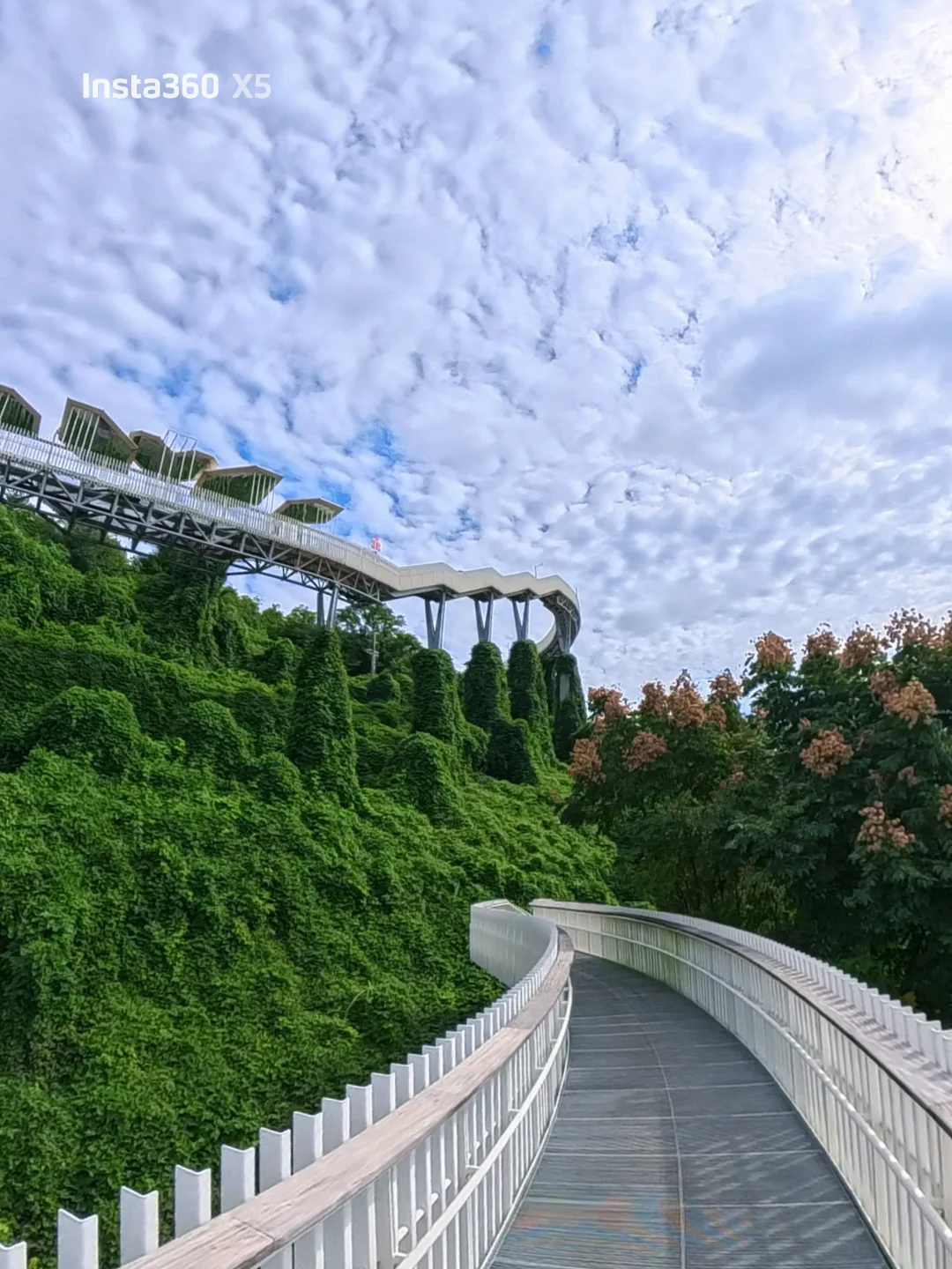在成都！公交直达！适合赏秋徒步的空中栈道！
