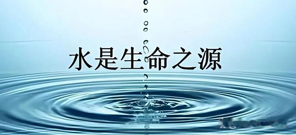 大家说说是水重要还是电重要?