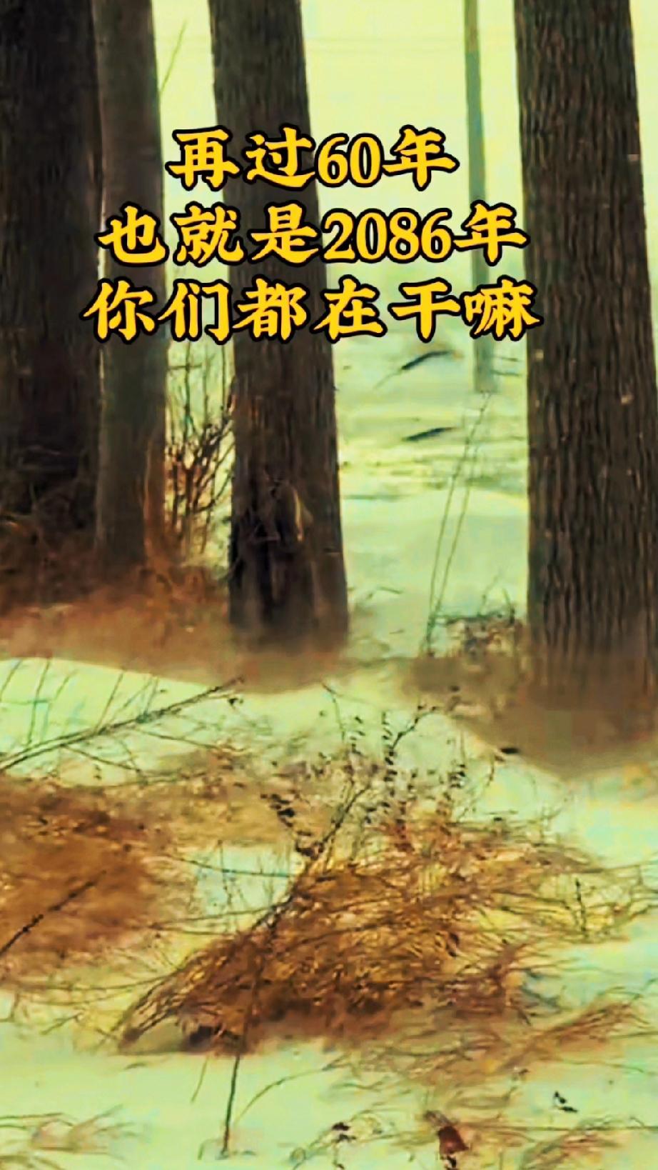 一个灵魂级拷问!
大家来说一说，聊一聊？