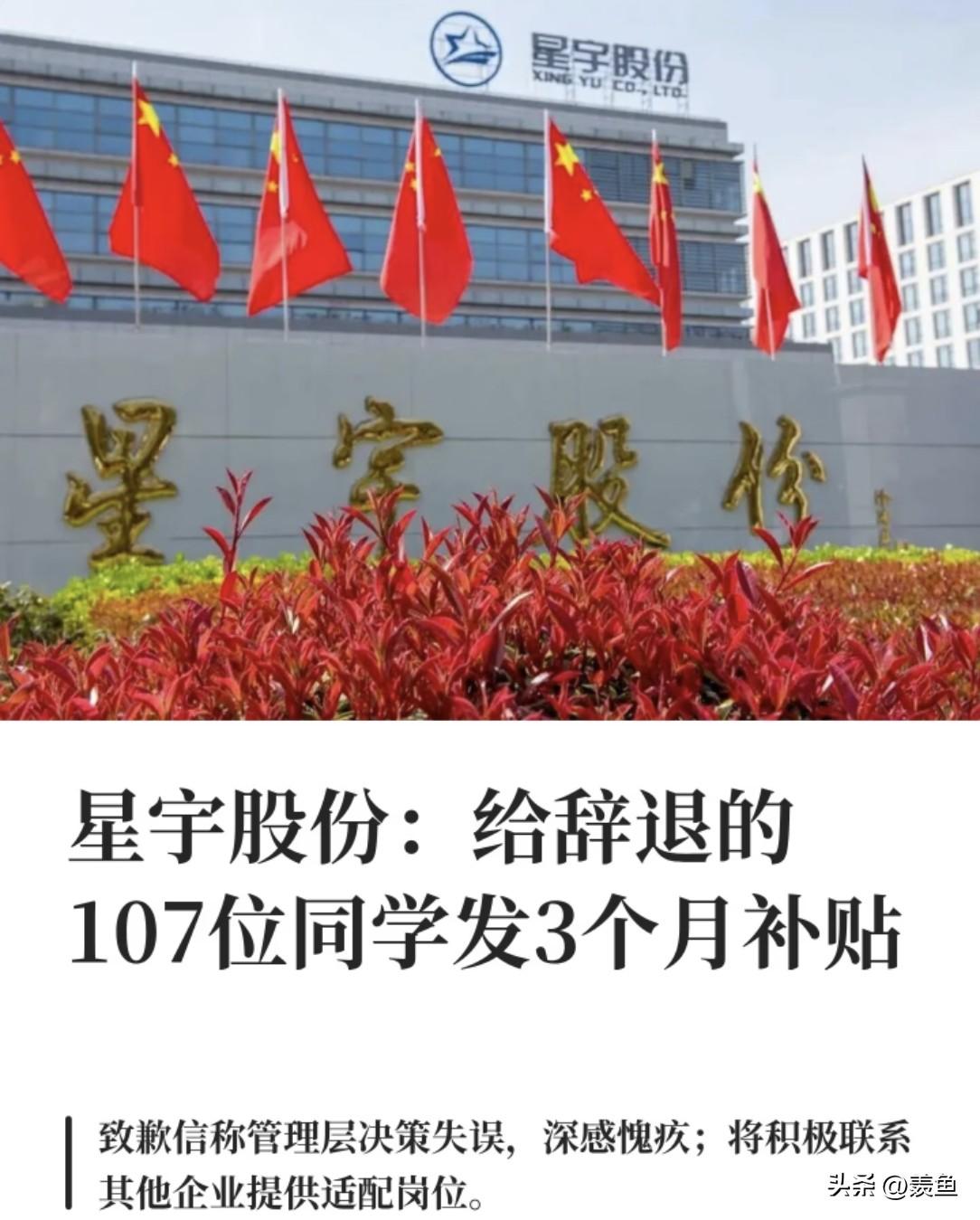 这事儿确实魔幻，简直是给那些成天喊着“仲裁维权”的职场老实人上了一课。

星宇股