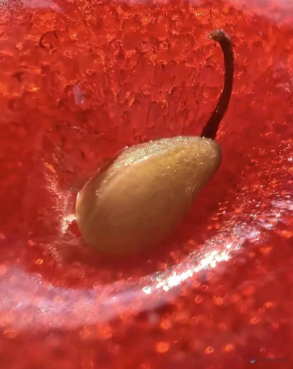 一个人逐渐成熟的表现:
脾气越来越小;格局越来越大;
情绪越来越稳定;对别人的期