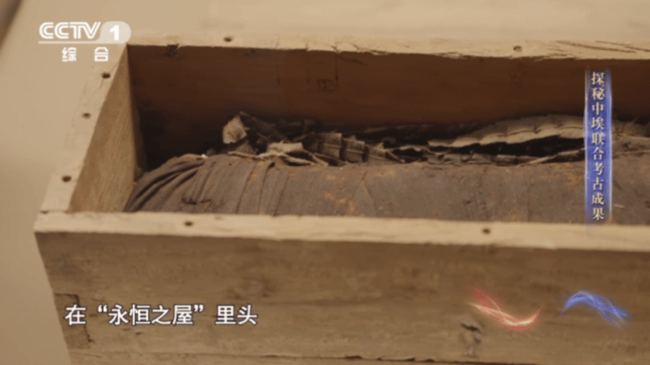古埃及人都有吸猫DNA吧古埃及房子着火要先救猫 开盲盒邂逅古埃及猫木乃伊，仿佛穿
