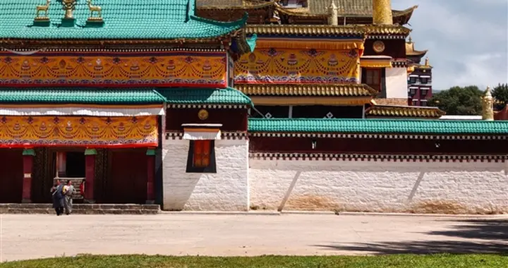 这色彩和画质还是魅族吗？魅族22潜望长焦实拍样张曝光