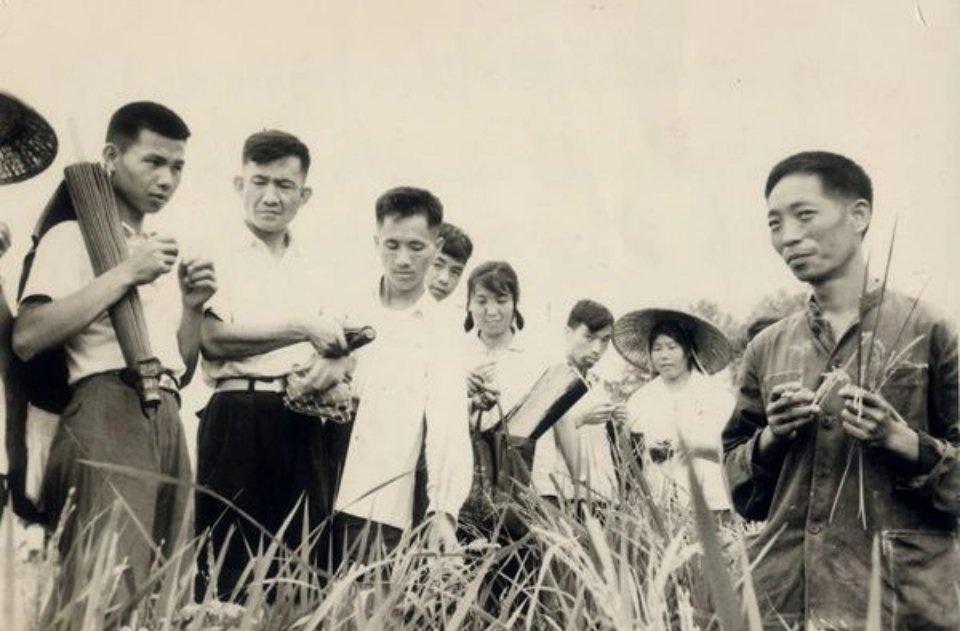 🌾💢无知狂妄踩底线，亵渎功勋、造谣传谣绝不能纵容！
 
近日一名全平台200