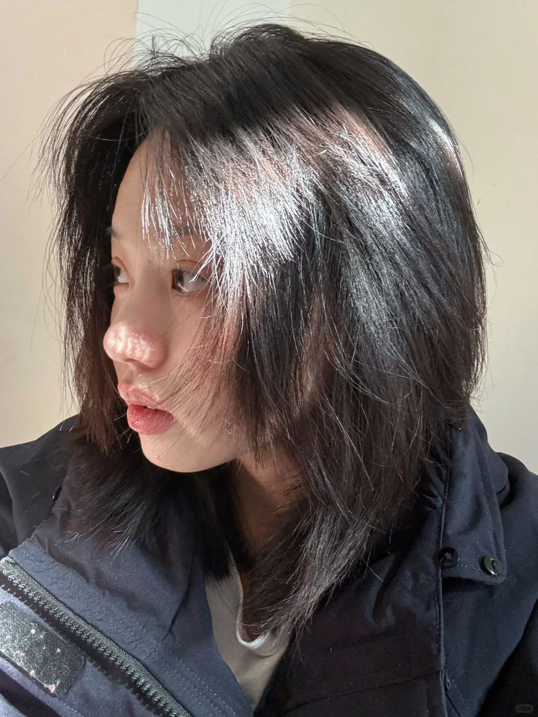再不晒晒就要发霉了。