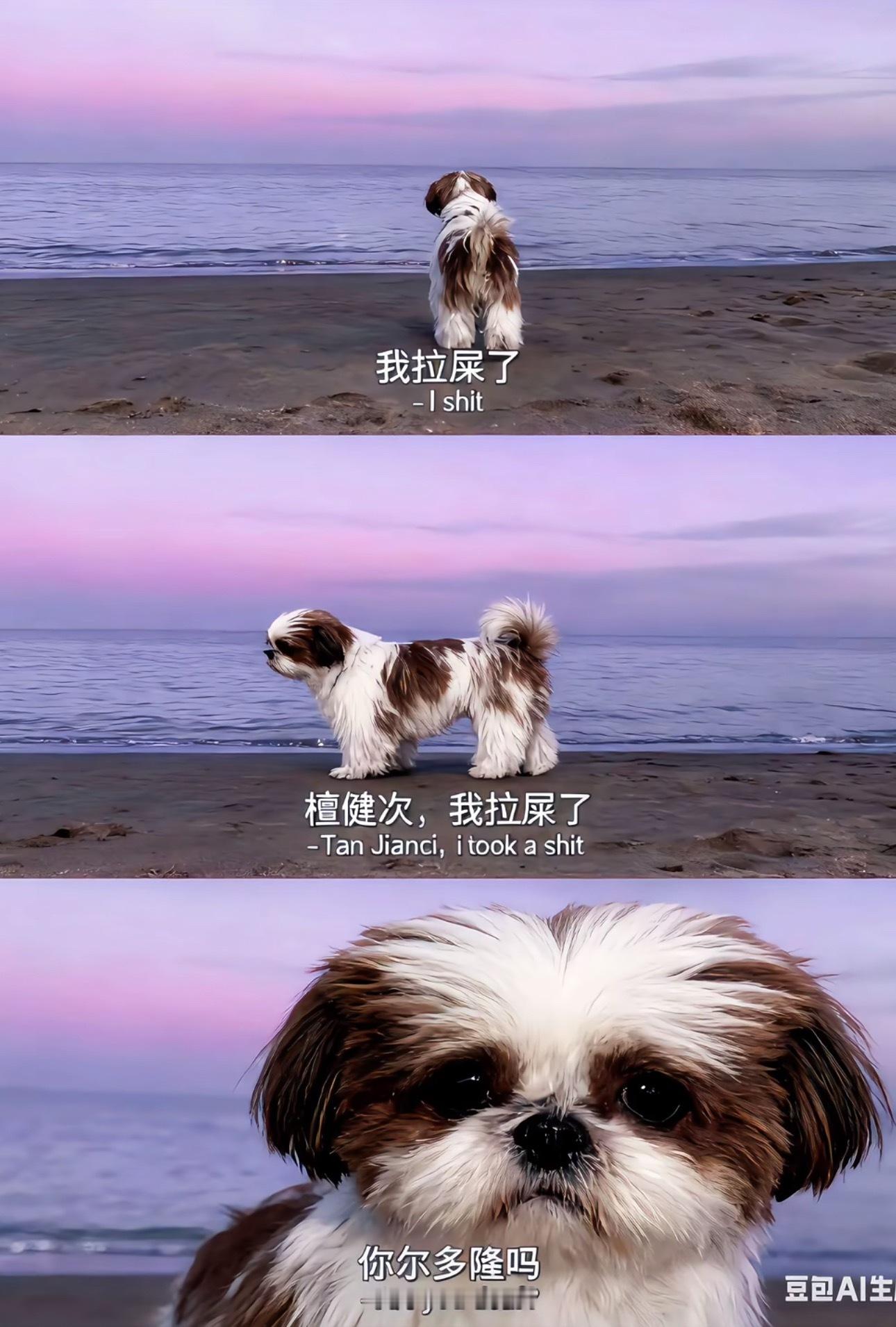 错过一个梗会怎样？[跪了] ​​​