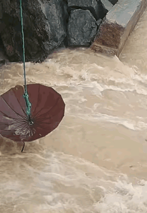 钓鱼，愿者上钩啊。