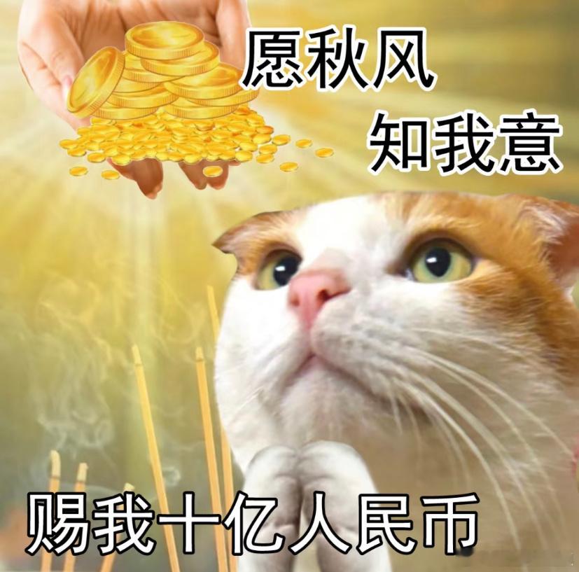 九子离火的大运势里！2025接好运必做的一件事！！！  那就是：一定学会给自己充