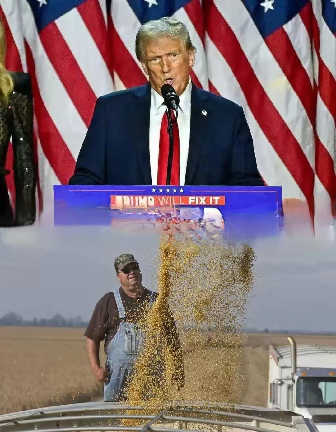 卖大豆啦！卖大豆了！
特朗普又喊中国买大豆了，
这次到底买不买？

按正理，中美