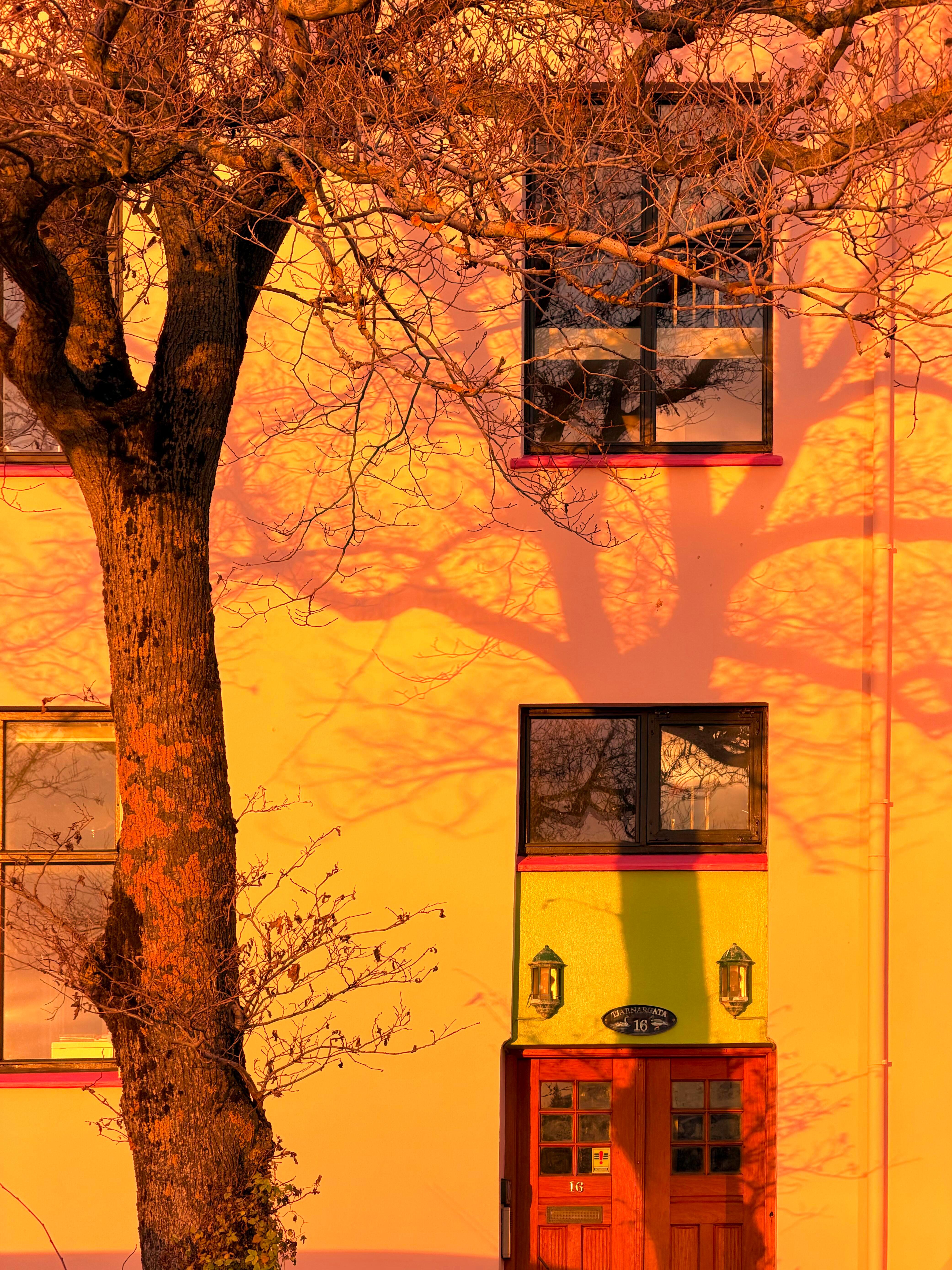 冰岛的日出，连上班族都为此驻足。 