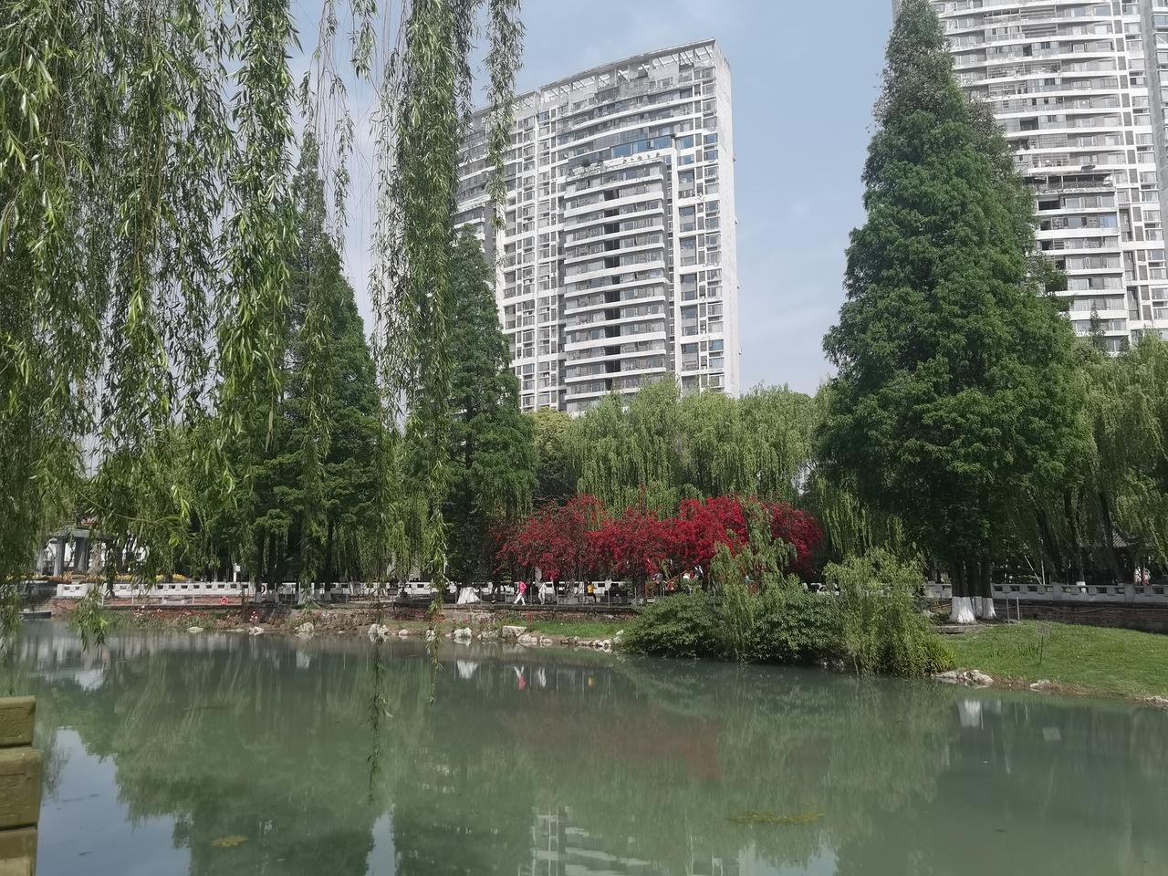 昨天成都天气晴朗，艳阳高照，温度有28度，仿佛蓉城提前进入夏天了。我们来到温江城