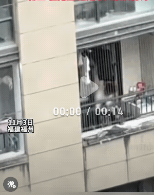 福建福州，一男子在阳台上对狗狗做出了伤害行为，抱起狗狗就往地上整，目击者:已经连