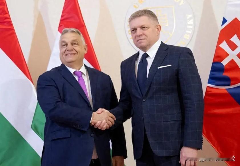 兄弟联手，能否让“友谊”管道复开！想的太美了！泽连斯基怎么可能帮俄运石油，怎么可