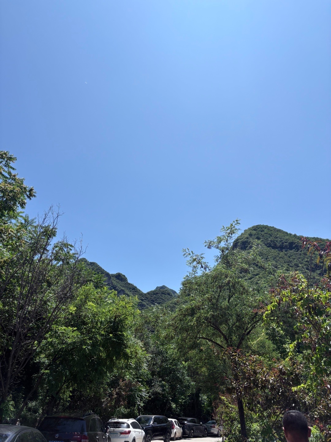 又是艳阳天 ​​​