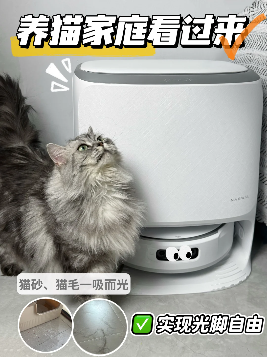 四猫家庭实测——云鲸 JX，在家光脚自由的底气