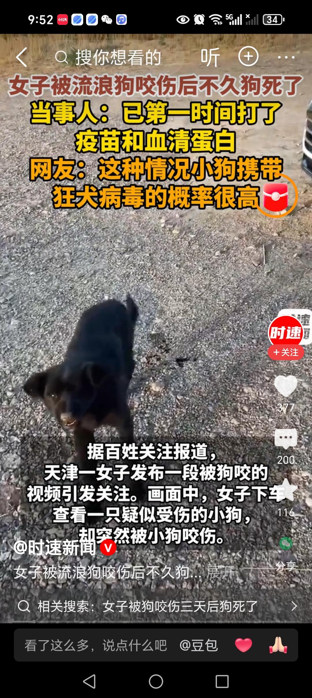 女子被流浪狗咬伤后，狗死了！
近日，天津一女子遭遇了一件不幸的事，她发现自己的车