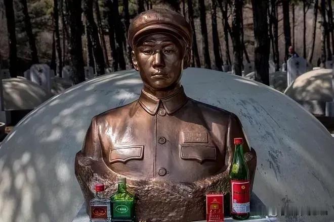 毛岸英的牺牲：中华民族难以估量的重大损失
 
毛岸英的牺牲之所以是中华民族的重大