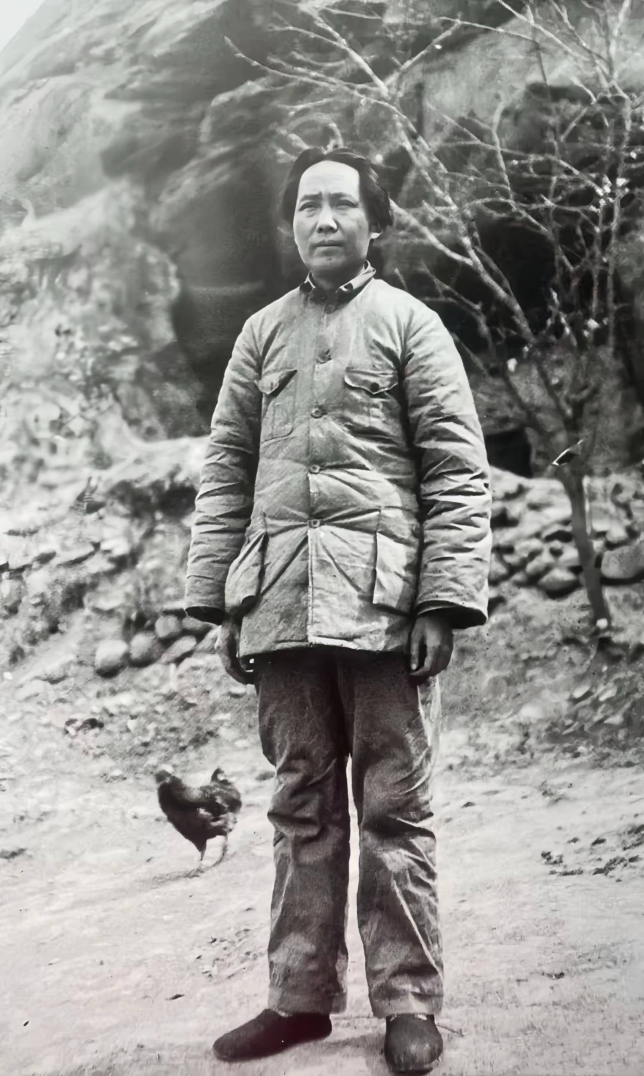 下图是毛泽东于1936年初冬拍下的一张照片，当时他年43岁。这一年的毛泽东思考得