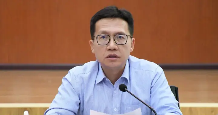 丽江市长李刚，主动投案
