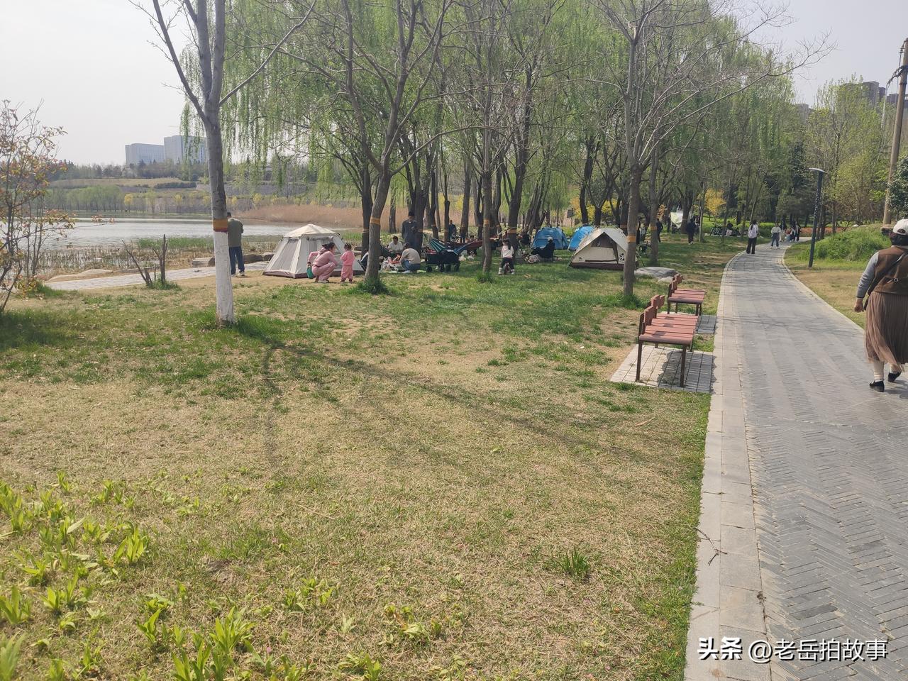 今天中午十二时许，在郑州市西流湖公园南园里看到游人是真多，而且是那种拖家带口携子