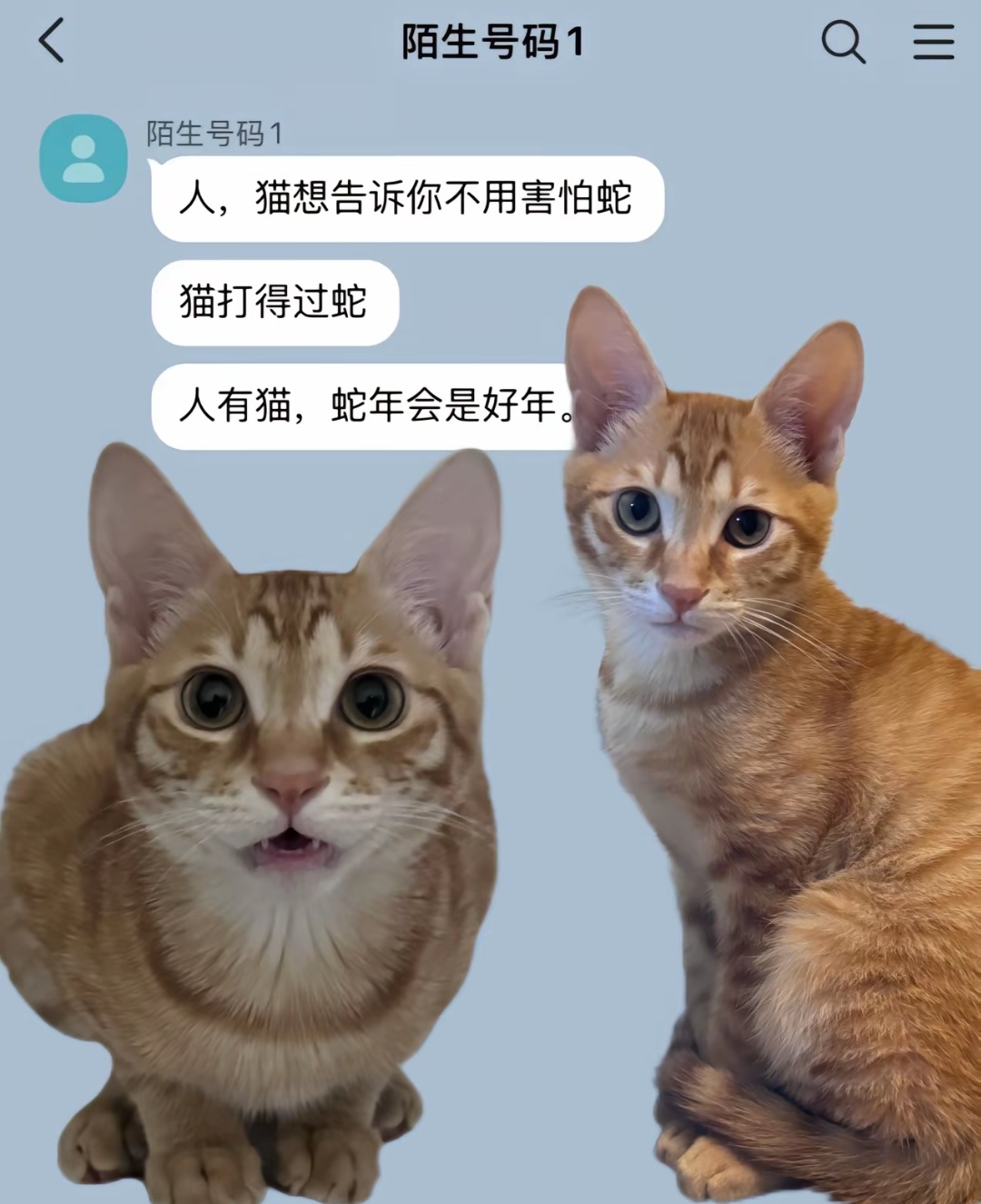 呜嗷 