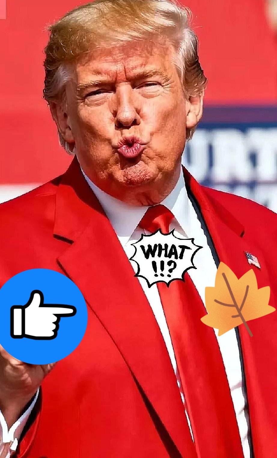 快讯！快讯！

特朗普又变卦了！

10月22日特朗普在21日接受采访时说他“尚